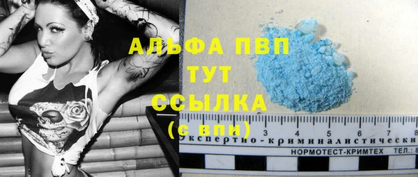 ECSTASY Кинешма